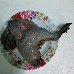 Gà ác và những món ăn có lợi cho sức khỏe