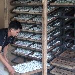 Kỹ thuật ấp trứng vịt