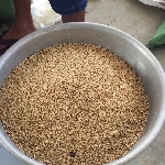 Công thức pha trộn thức ăn cho gà đạt hiệu quả cao.