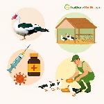 Cách Nuôi Vịt Xiêm Nhanh Lớn, Ít Bệnh, Lãi Cao – Chia Sẻ Kinh Nghiệm Thực Tế 100%