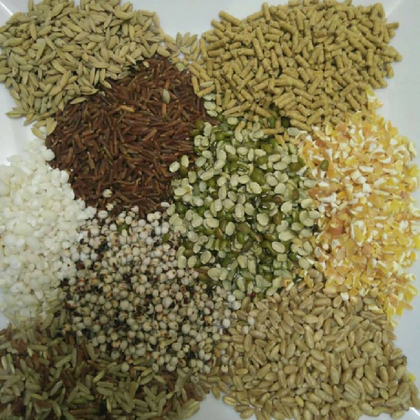 Phương pháp tối ưu hóa chi phí thức ăn trong chăn nuôi gà