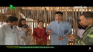 Video kỹ thuật phòng trị bệnh cho gà theo mùa