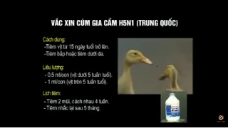 Video kỹ thuật tiêm vaccin AI 
