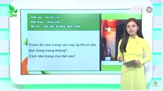 Video cách khử trùng trứng và máy ấp trứng 