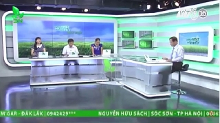 Video phương pháp và liều lượng tỏi trộn vào thức ăn cho gà