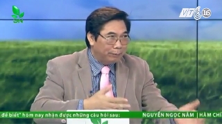 Video tại sao gà bị nấm diều, nấm đường tiêu hóa và ngộ độc? 